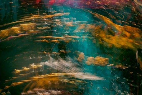 L'Art à l'Écoute de la Nature : Exemples d'Engagements Artistiques Écologiques